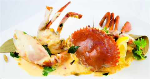 Kailash Parbat Syed Alwi Road Singapore Restaurant Reviews Bookings Menus Phone Number Opening Times